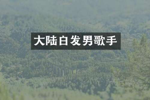大陆白发男歌手