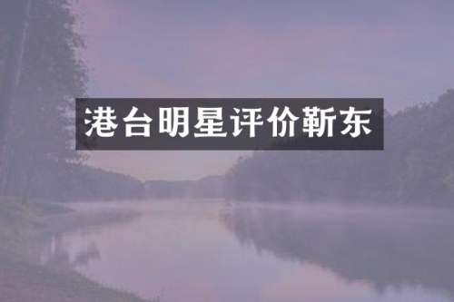 港台明星评价