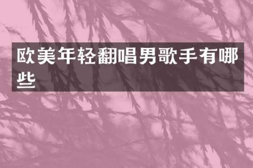 欧美年轻翻唱男歌手有哪些