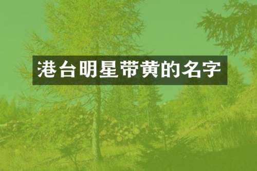 港台明星带黄的名字