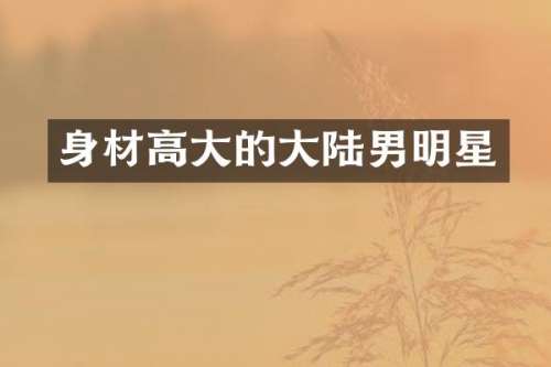 身材高大的大陆男明星