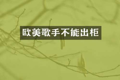 欧美歌手不能出柜