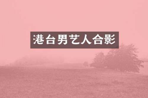 港台男艺人合影