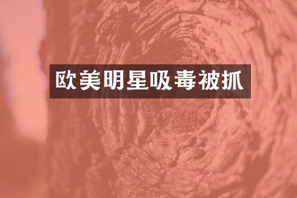 欧美明星吸毒被抓