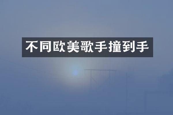 不同欧美歌手撞到手