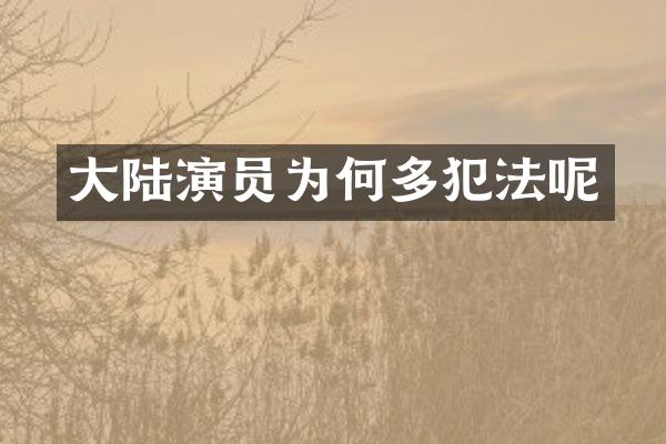 大陆演员为何多犯法呢
