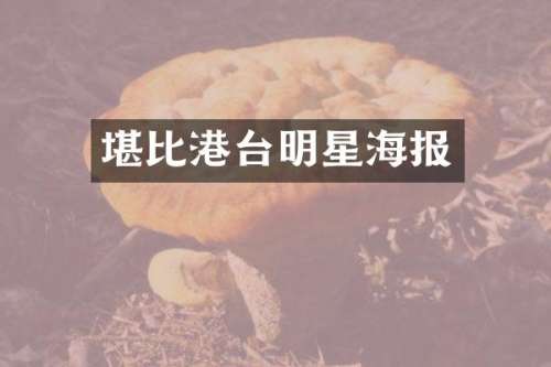 堪比港台明星海报