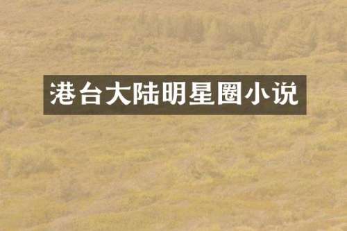 港台大陆明星圈小说