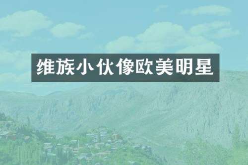 维族小伙像欧美明星
