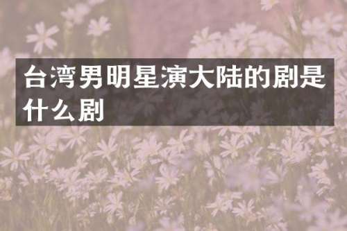 台湾男明星演大陆的剧是什么剧
