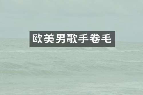 欧美男歌手卷毛