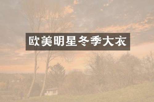 欧美明星冬季大衣