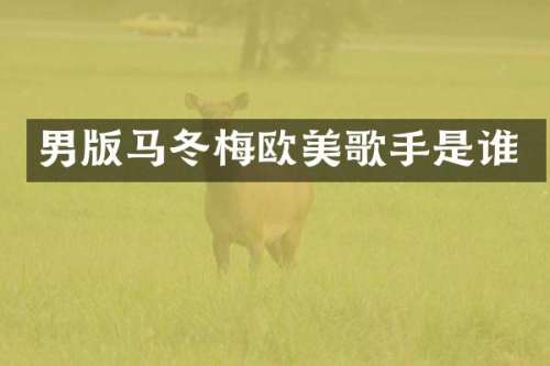 男版马冬梅欧美歌手是谁