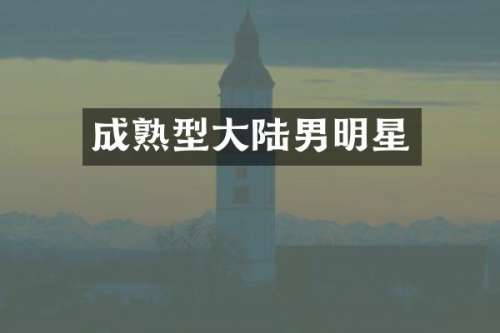 成熟型大陆男明星