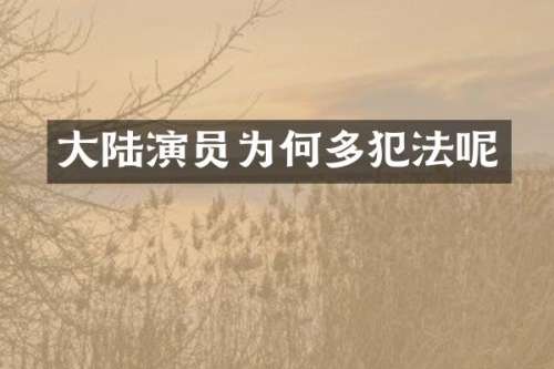大陆演员为何多犯法呢