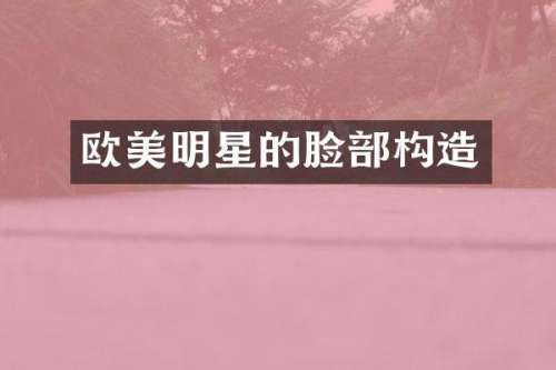 欧美明星的脸部构造