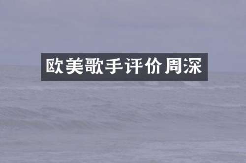 欧美歌手评价