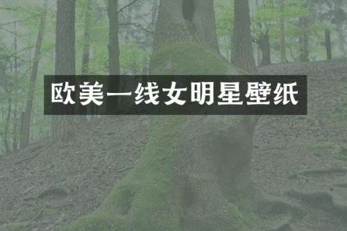欧美一线女明星壁纸