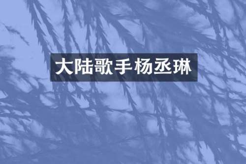 大陆歌手杨丞琳