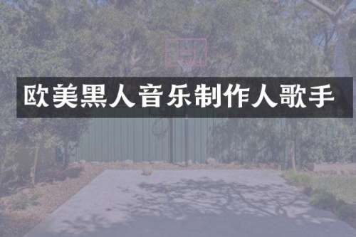 欧美黑人音乐制作人歌手