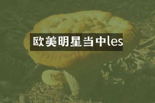 欧美明星当中les
