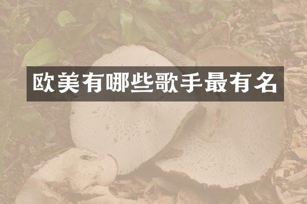 欧美有哪些歌手最有名