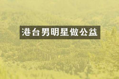 港台男明星做公益