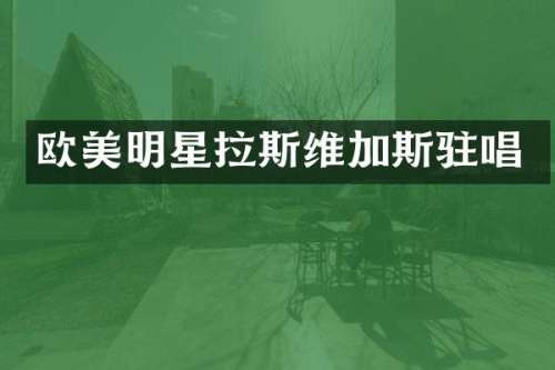 欧美明星拉斯维加斯驻唱