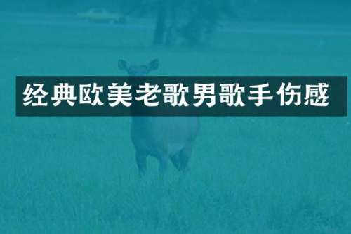 经典欧美老歌男歌手伤感