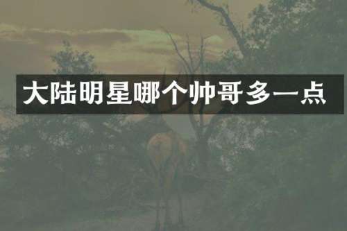 大陆明星哪个帅哥多一点