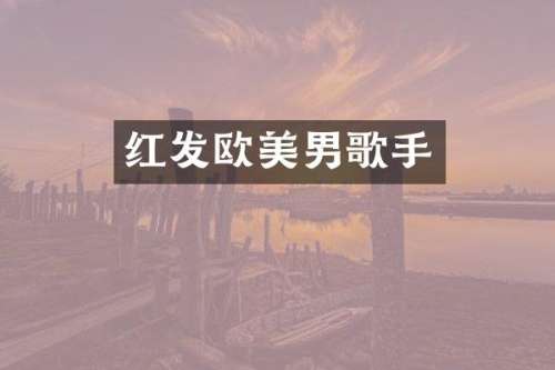 红发欧美男歌手