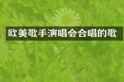 欧美歌手演唱会合唱的歌