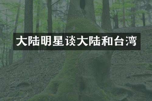大陆明星谈大陆和台湾