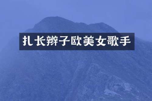扎长辫子欧歌手