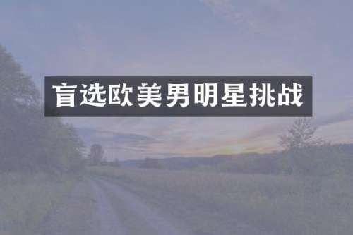 盲选欧美男明星挑战