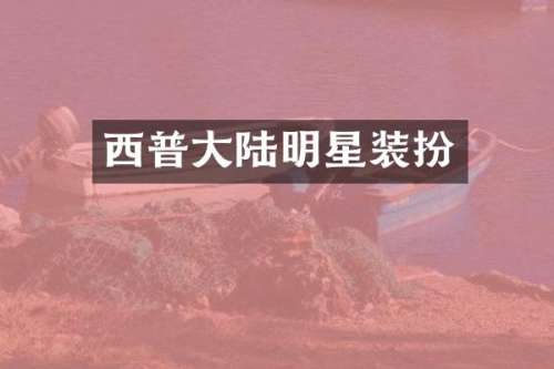 西普大陆明星装扮
