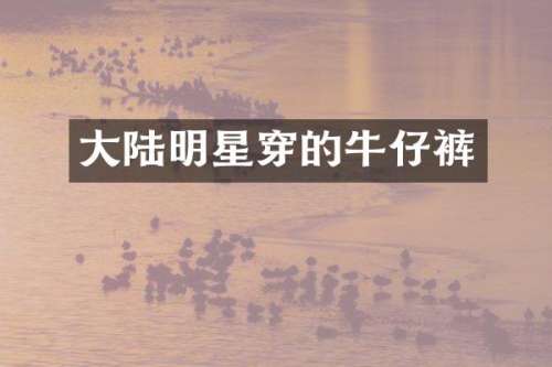 大陆明星穿的牛仔裤