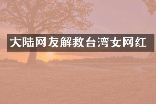 大陆网友解救台湾女网红