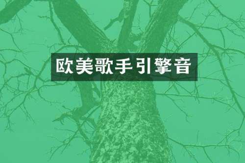 欧美歌手引擎音