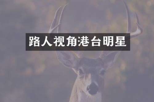 路人视角港台明星