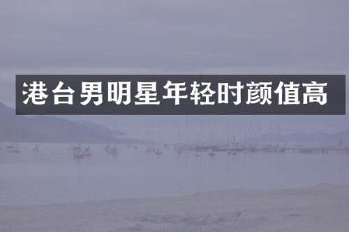 港台男明星年轻时颜值高