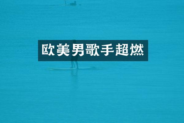 欧美男歌手超燃