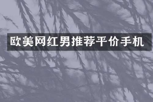 欧美网红男推荐平价手机