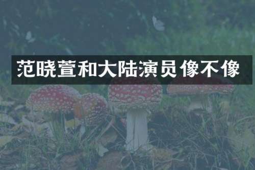 范晓萱和大陆演员像不像
