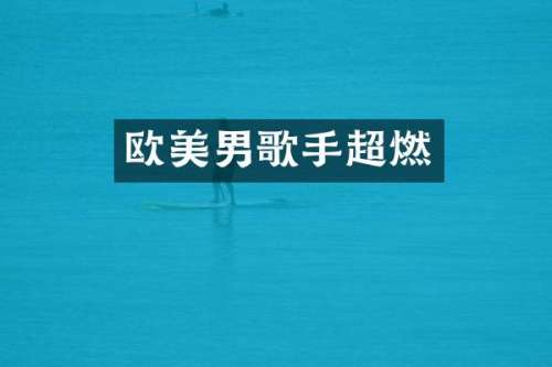 欧美男歌手超燃