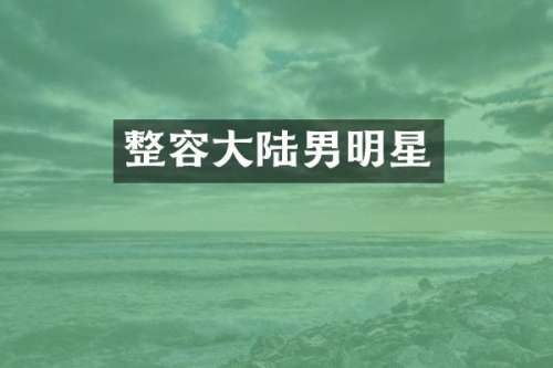 整容大陆男明星