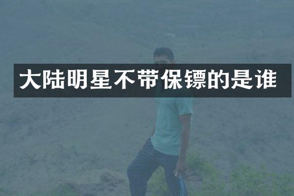 大陆明星不带保镖的是谁
