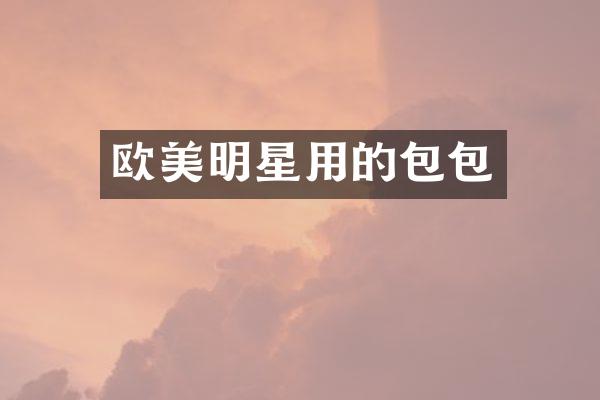 欧美明星用的包包