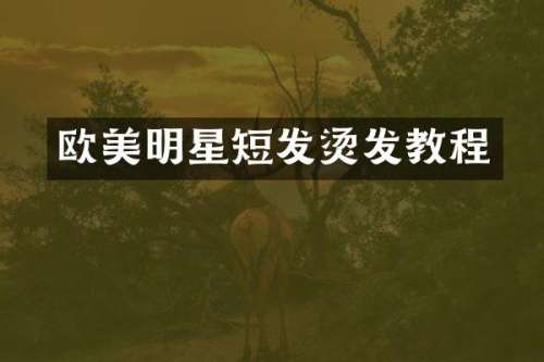 欧美明星短发烫发教程