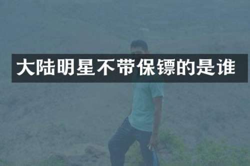 大陆明星不带保镖的是谁
